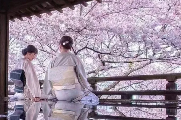 2026年日本全境包车价格表 | 宙斯出行